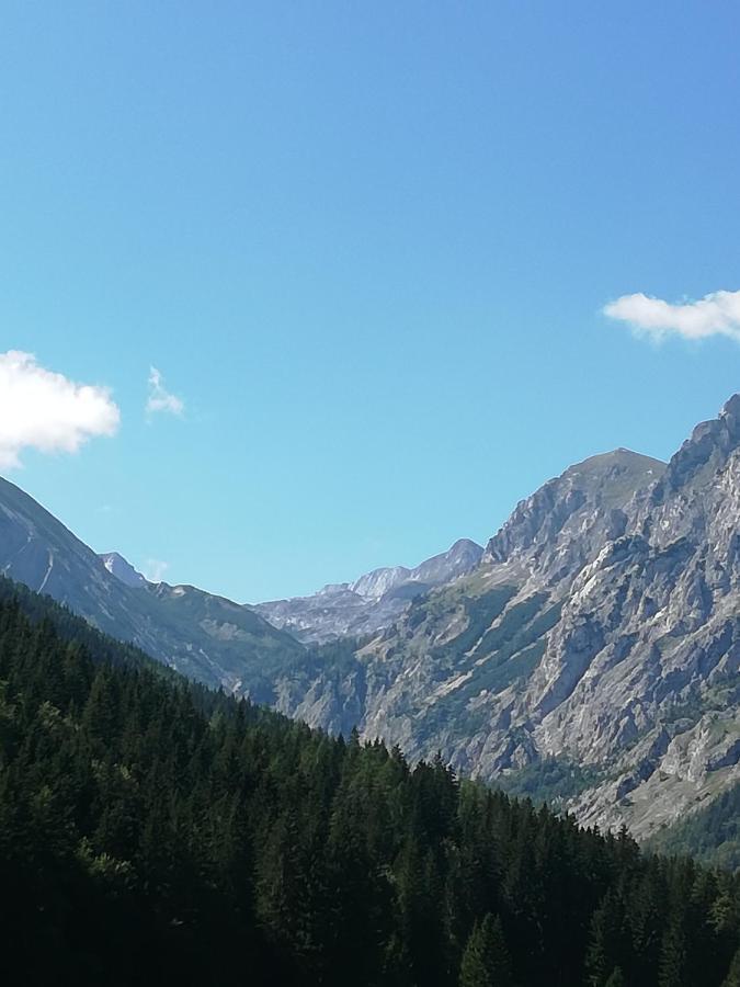 Fruehstueckspension Seeberghof Seewiesen エクステリア 写真