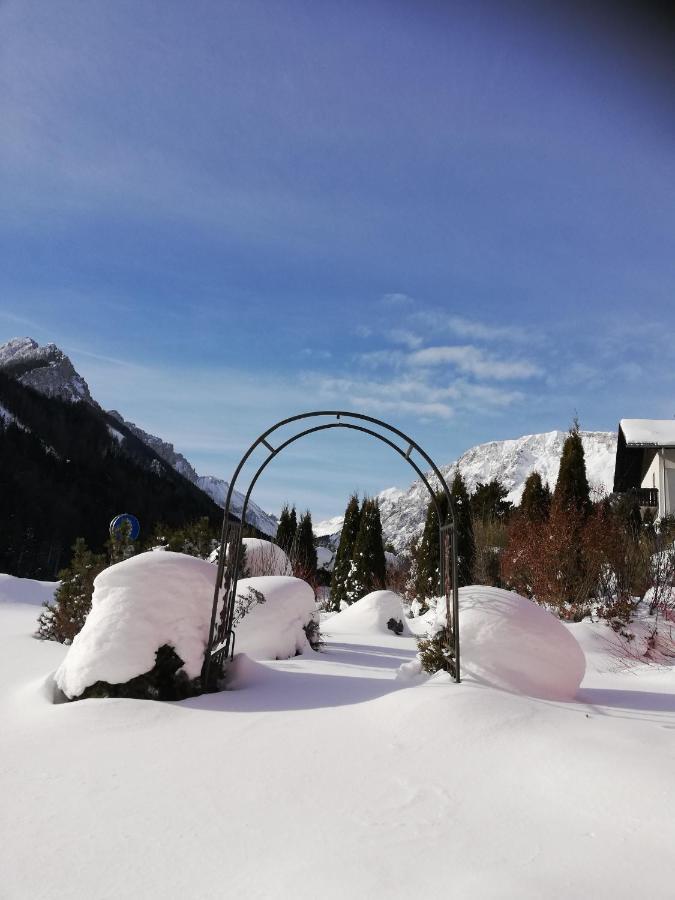 Fruehstueckspension Seeberghof Seewiesen エクステリア 写真